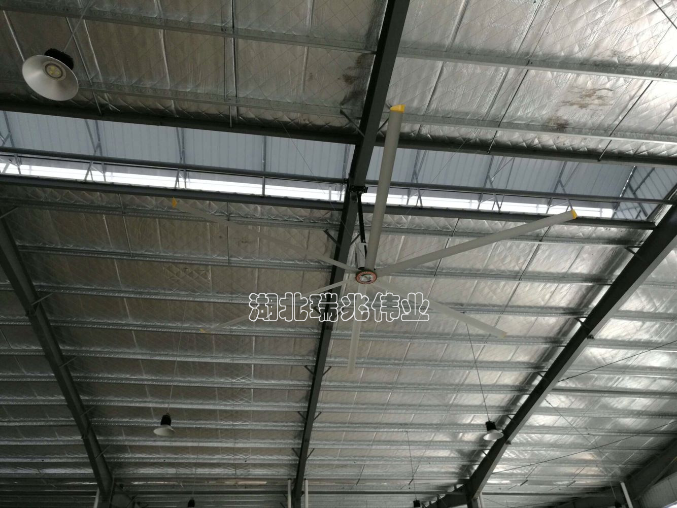 皮皮蝦我們走！眾里尋它千百度-高大廠房降溫通風找我家！