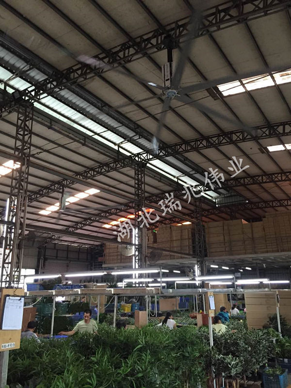 大型工業(yè)吊扇，效果好且省錢