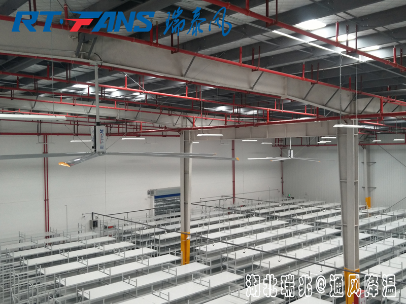 工業(yè)大風(fēng)扇具體的通風(fēng)降溫效果怎么樣，有什么作用呢